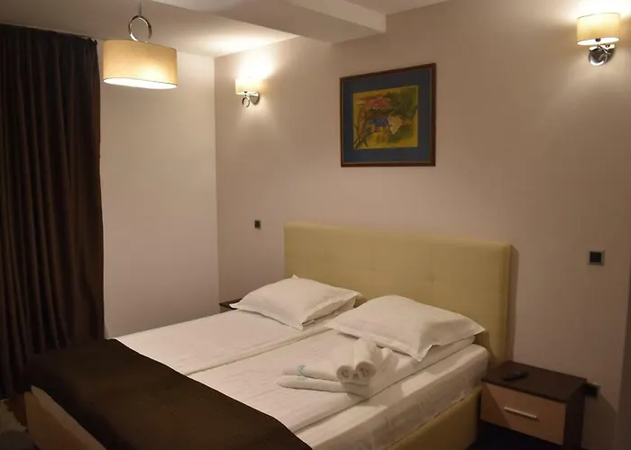 Pet friendly Silver Mountain G1 47 Poiana Brasov