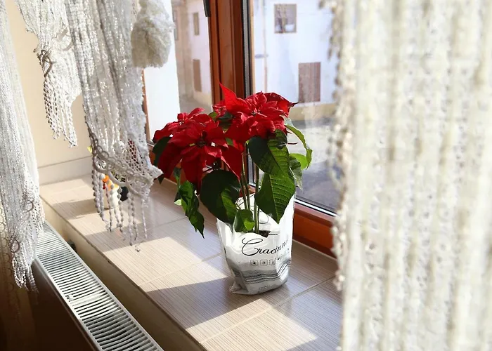 Dioniss Apartment Sibiu