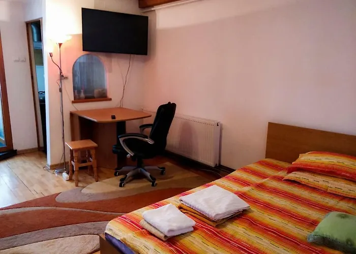 Pet friendly Studio Attic Apartment Brasov