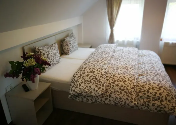 Coroni Residence - Cazare Delegati Si Muncitori Braşov