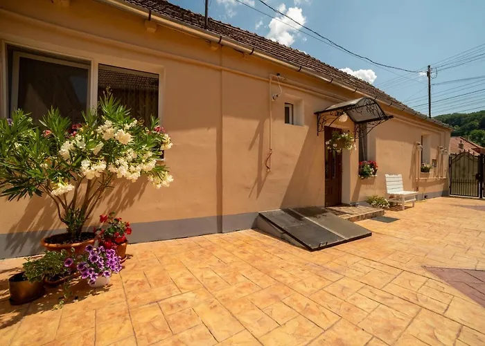 Haustierfreundliches Nice&Cozy Apartament Sighişoara