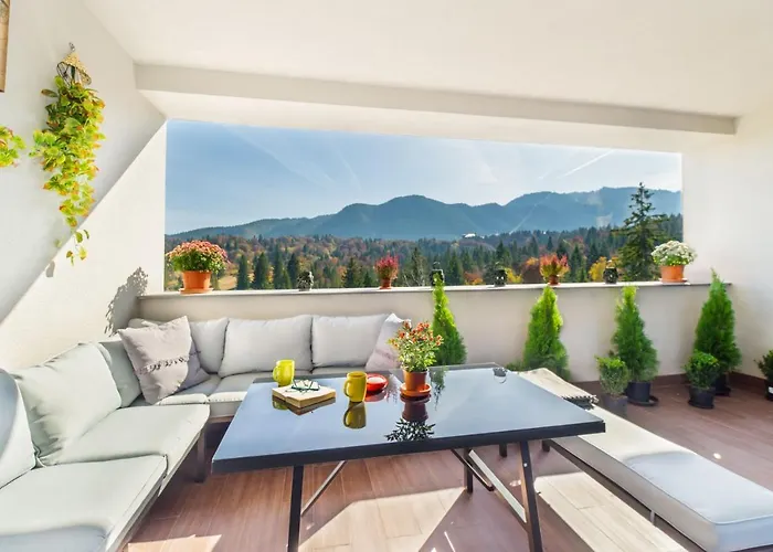Pet friendly Fabulous Panorama Silver Mountain Apartments Poiana Brasov