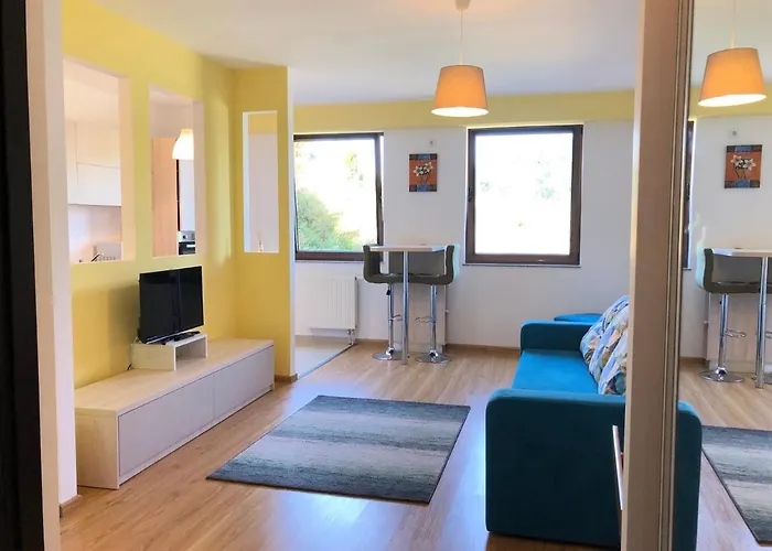 Iq Studio - Seasons Residence Braşov che accetta animali