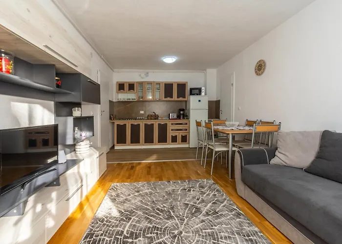 Haustierfreundliches Relax Apartment 2 Lya Sighişoara