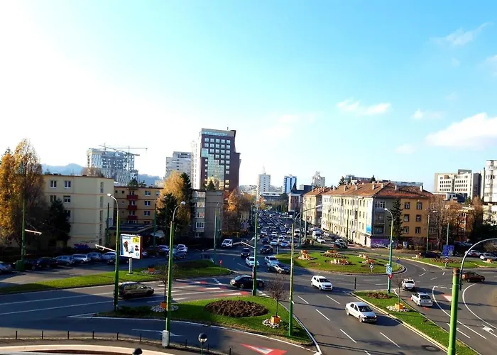 Haustierfreundliches Ferienwohnung Fleur De Lys Brașov
