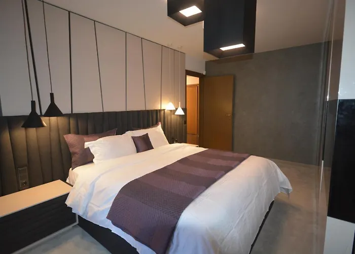 Boutique Juniper Apartment Braşov